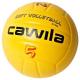 CAW-VBALL2